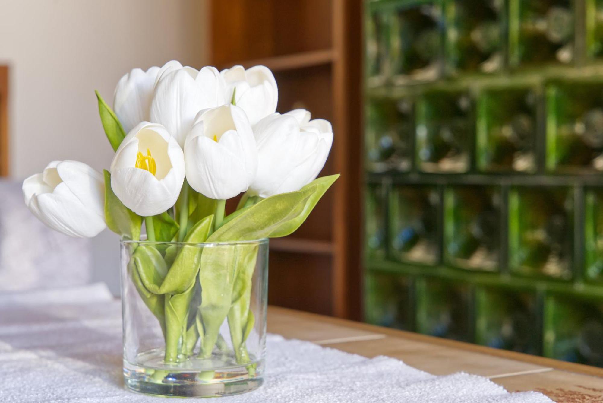 Castle Way Apartments Tamy Блед Екстериор снимка