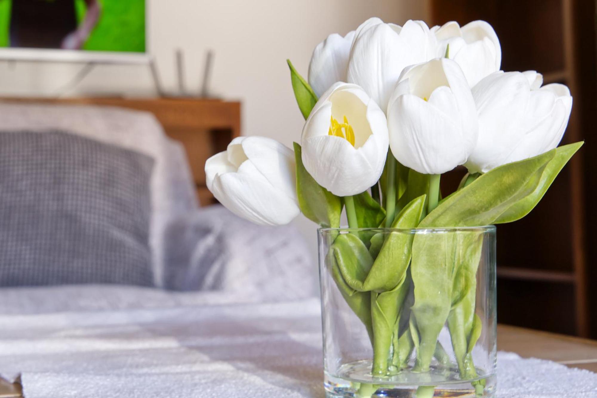 Castle Way Apartments Tamy Блед Екстериор снимка